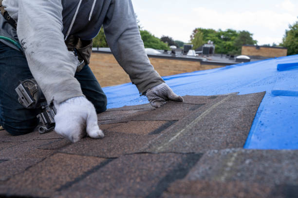 Best Shingle Roofing Installation  in Makaha, HI