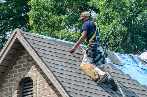 Best Roof Gutter Cleaning  in Makaha, HI
